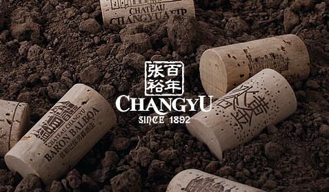 張裕集團
官網(wǎng)設(shè)計 APP開發(fā)